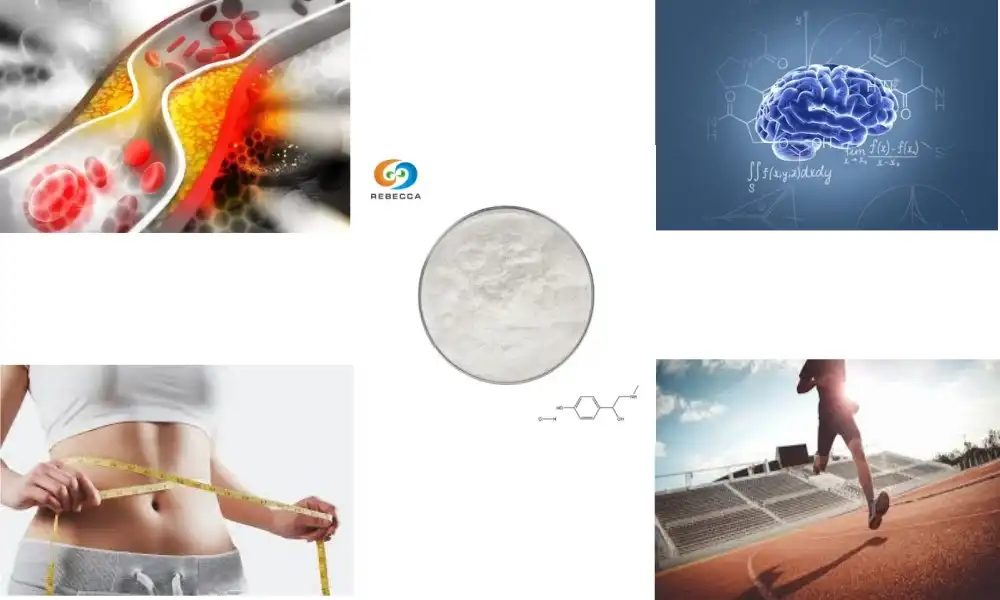 What Is the Ideal Synephrine HCL Dosage?